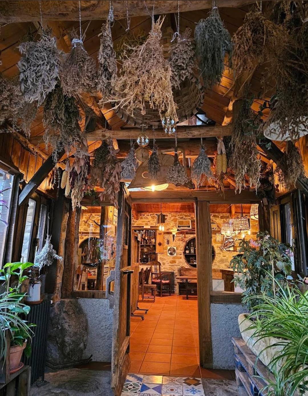 科纳德美杜拉斯酒店 博拉涅斯 外观 照片